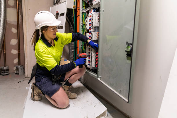 Best Electric Panel Repair  in West Dundee, IL