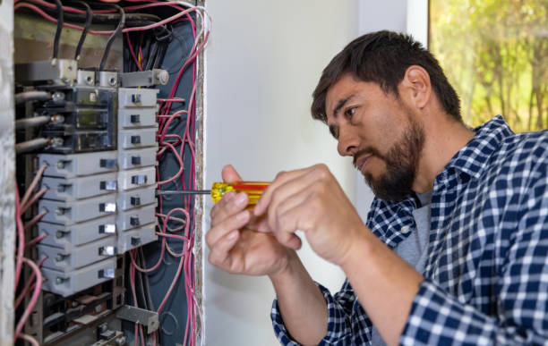 Best Electrical System Inspection  in West Dundee, IL